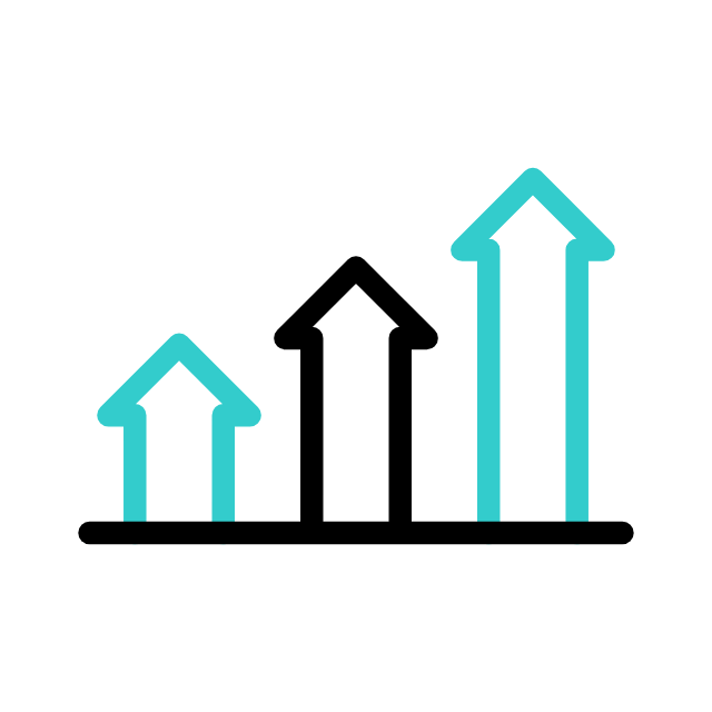 Audit & Optimisation